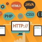 Web Geliştirici